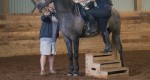 Porady: Jak nauczyć konia spokojnego stania podczas wsiadania ?