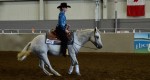 Sport: Reining