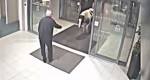 Koń uciekł z pastwiska i sam się zgłosił na policje! :)
