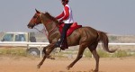 Sport: Rajdy konne